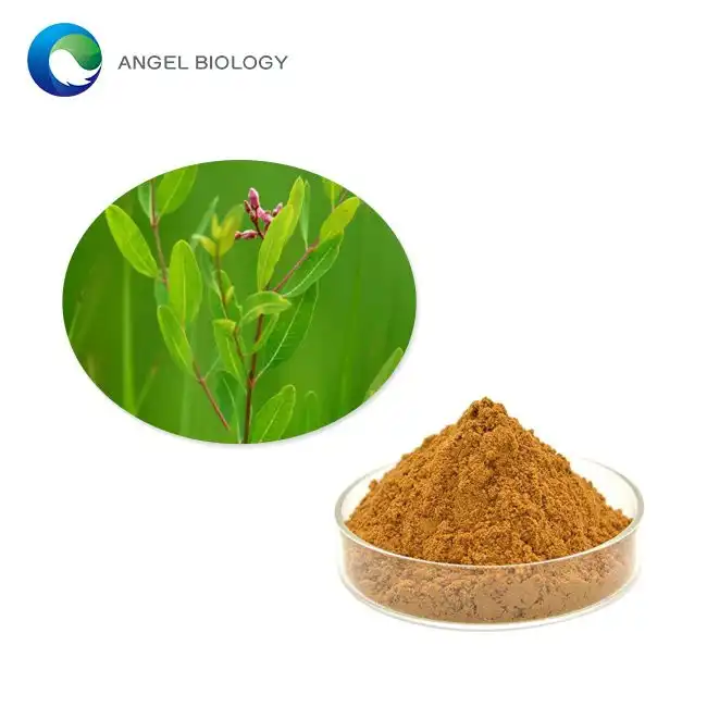 Apocynum Venetum Extract